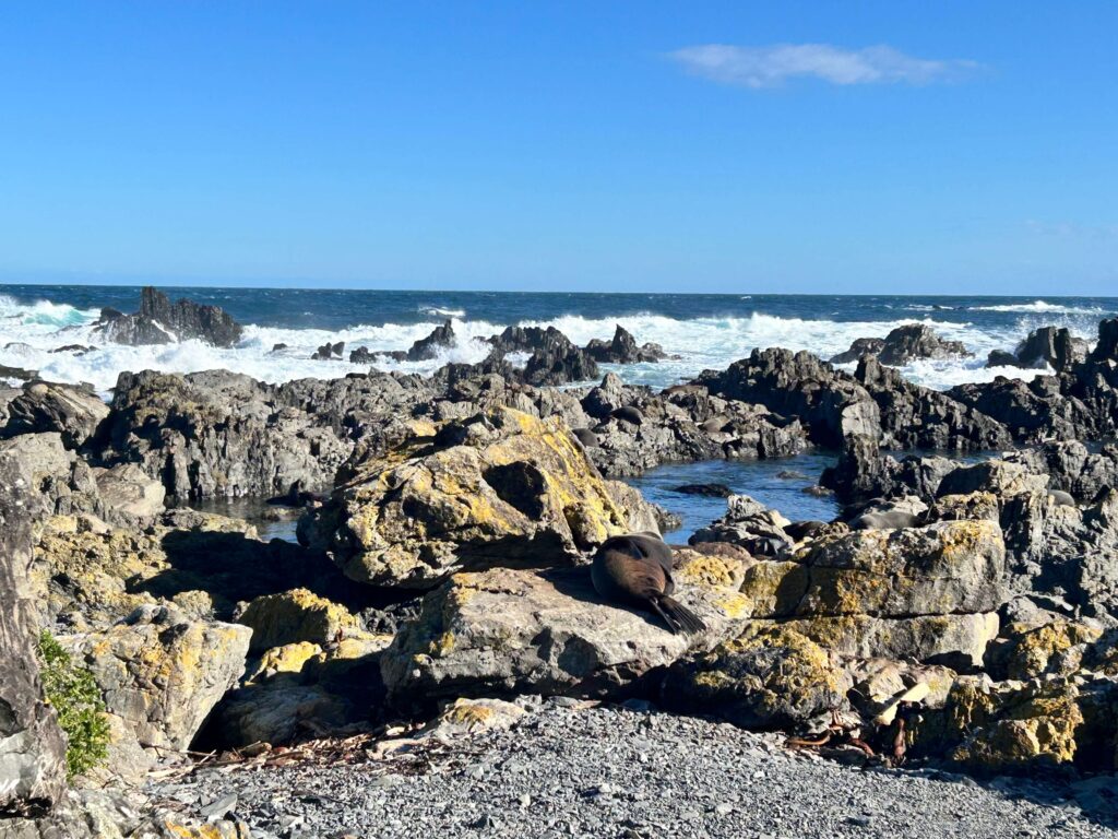 ウェリントンでの一番の思い出