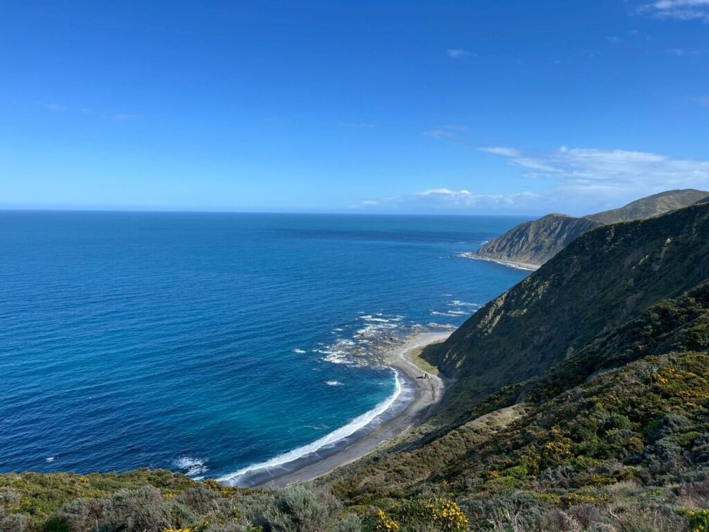 ニュージーランド・ウェリントンを選んだ理由