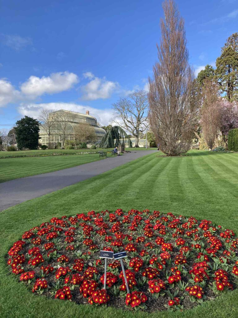 ダブリン・ワーホリでの景色